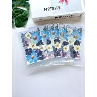 ราคา ดอกไม้แห้ง ชุดรวมสไตล์ Mixed | (1แผ่น)- สำหรับงาน DIY งานเรซิ่นและตกแต่งอื่นๆ (24388814635)