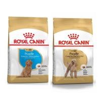 ราคา Royal canin Poodle Puppy / Adult อาหารลูกสุนัข และ สุนัขโต พันธุ์พุดเดิ้ล ขนาด 500 กรัม (7492251427)