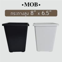 ราคา กระถางสี่เหลี่ยมสูง สูง 8 นิ้ว x 6.5 นิ้ว สี่เหลี่ยมทรงสูง หนา ร้าน MOB (12715388946)