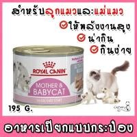 ราคา Royal Canin Babycat Can 195g (4507546824)