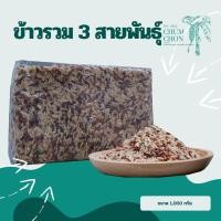 ราคา ข้าวรวมสามสายพันธุ์ (ทับทิบชุมแพ กล้อง กข43 ไรซ์เบอรี่) ข้าวใหม่ ปี65 ขนาด 1 กิโล บรรจุสุญญากาศ (21555398937)
