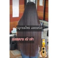 ราคา ♦️ส่งด่วน * ถูก * ของแท้ ♦️Legano Hair Tonic Extra : ลีกาโน่ แฮร์โทนิค เอ็กซ์ตร้า ลดการหลุดร่วง เร่งผมยาวไว (10230802990)