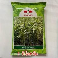 ราคา เมล็ดพันธุ์ผักบุ้งจีน (ไผ่เงิน) 1 กิโลกรัม ตราศรแดง เมล็ดพันธุ์คุณภาพ (25087729486)