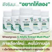 ราคา โปร 5 กระปุก 150 เม็ด ผักเม็ด Wheatgrass & Alfalfa Extract Multi Plus+ Q10 (23027271451)