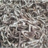 ราคา ดองดึงสด 500g.ใหม่ เขย่าทราย พร้อมส่ง ของใหม่ปีนี้ (43224148784)