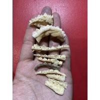 ราคา หางกระเบนชิ้นเล็ก10ชิ้น ได้ทั้งหมด10ชิ้น (20145198934)