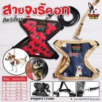 ราคา สายจูงรัดอกสุนัข Doggy Style สีน้ำเงิน สีแดง ลายDog Cartoon SIZE SS-XXL (แบบตัวเลือกไซค์) (2124863662)