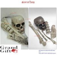 ราคา โครงกระดูก ชุดหักกระโหลก ฮาโลวีนโครงกระดูกโครงกระดูกบาร์ Escape Room ตกแต่งสยองขวัญ โครงกระดูกมนุษย์ ชุดกระดูก (28112889861)