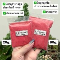 ราคา ปุ๋ยเร่งดอก แคคตัส ไม้อวบน้ำ ไม้ดอก ไม้ประดับ กล้วยไม้ กระบองเพชร (6170068320)