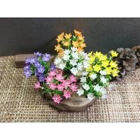 ราคา ดอกบัวดินจิ๋ว ดอกบัวดินดินปั้นจิ๋ว ดอกบัวดิน บัวดิน #ของจิ๋ว #miniature (27530751525)