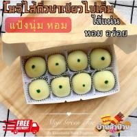 ราคา (จัดส่งไว อร่อยทันใจ)โมจินมสดไส้ถั่วชาเขียวไข่เค็ม โมจิไส้ชาเขียวไข่เค็ม แป้งนุ่ม ไส้แน่น หอม อร่อย กล่องละ 8 ชิ้น (18101585740)
