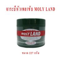 ราคา MOLYLAND จาระบีหัวเพลาขับ ขนาด227กรัม (1998990835)