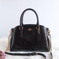 ราคา Coach F31485 Mini sage carryall (7112732167)