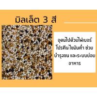 ราคา มิลเล็ตสามสี (แบ่งขาย 200-500G.) อาหารนกหงษ์หยก ฟอพัส เลิฟเบิร์ด ค็อกคาเทล เขาเล็ก เขาชวา (40018534658)