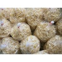 ราคา ถั่วงอกเก็บสดทุกวันปลอดสารฟอกขาว✅ (48103948854)