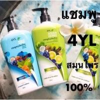 ราคา แชมพู​ สมุนไพรไทย​ 100% สูตรมะกรูด​ และสูตรใบหมี่ (2041888165)