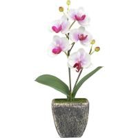 ราคา OrientalFineArt ดอกกล้วยไม้ปลอมจัดในกระถางสไตล์คลาสสิค สวยเสมือนจริง สำหรับประดับตกแต่งบ้าน(AM-12-B F36) (3341117452)