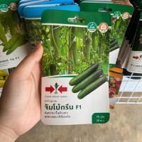 ราคา แตงร้าน ( จัมโบ้กรีน F1) ตราศรแดง (29718142634)