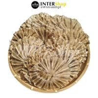 ราคา ปลาวงจิ๋วพิเศษ ปลากระเบน เค็มเล็กน้อย อาหารทะเลแปรรูป INTERShop (6055375906)
