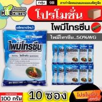 ราคา โปรโมชั่น ไพมีโทรซีน 100กรัม*10ซอง (ตราไก่เกษตร) กำจัดเพลี้ย เพลี้ยกระโดด เพลี้ยจั๊กจั่น (25963028468)