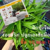 ราคา โปรโมชั่นพิเศษ! ซื้อคละ 10 ซอง แถมฟรี 1 ซอง (กดสั่ง 11 ชิ้น ระบบลดให้อัตโนมัติค่ะ)เมล็ดผักบุ้งจีน ศรแดง แบ่งขาย 10.- (57706162368)