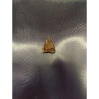 ราคา พระปิดตาชินบัญชรหลวงพ่อคูณปริสุทโธวัดบ้านไร่พ.ศ 2557 (46456624126)