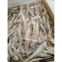 ราคา ปลาลิ้นหมาตากแห้ง บรรจุ 300 กรัม ไม่เค็ม แห้งดี (27016635136)
