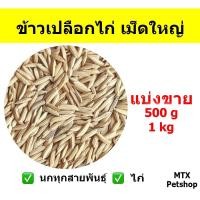 ราคา ข้าวเปลือกไก่ เม็ดใหญ่ // สำหรับนก และ สัตว์ฟันแทะ (11105768634)