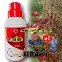 ราคา ฅนขี่ม้าพาราไวท์ขนาด 1 ลิตร By ดีเจโดม นาทวี แถมแปลง 1 อัน เสื้อ 1 ตัว (ดีเจโดม นาทวี รับประกันของแท้ 100 %) (16485909967)