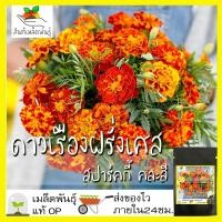 ราคา เมล็ดพันธุ์ ดาวเรือง ฝรั่งเศส สปาร์คกี้คละสี 150 เมล็ด Sparky French Marigold Mix seed เมล็ดพันธุ์แท้ นำเข้าต่างประเทศ (3794342129)