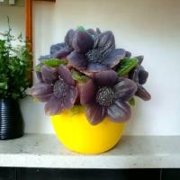 ราคา ดอกไม้เทียน กระดุมทองดำ เทียนหอม เทียนกระดุมทอง กระถาง size 2.5 นิ้ว ประดับหิ้งพระ ไหว้ราหู พระราหู (24752847469)