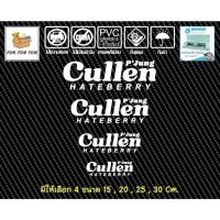 ราคา 3M สติกเกอร์ สีขาว สะท้อนแสง คัลแลน Cullen Hateberry (24435508801)