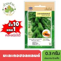 ราคา เจียไต๋ (ซื้อ10แถม1) มะละกอฮอลแลนด์ ขนาด 0.3กรัม ประมาณ15เมล็ด Papaya holland มะละกอ เมล็ดพันธุ์พืช เมล็ดผัก ปลูกผักสวนค (6738214333)