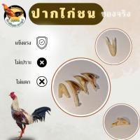 ราคา ปากไก่ชน เฮอริเคนไก่ชชน ปากไก่จริง สีและขนาดเป็นไปตามธรรมชาติของปากไก่ (44153436708)