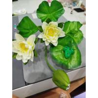 ราคา ดอกบัว พร้อมส่ง (ต้นดอกบัวช่อ ดอกบัวเบญจพร สีขาว แต่งกบช่อใหญ่1ช่อมี 7 ก้าน 3ดอก 4ใบ ดอกบัว ดอกบัวปลอม ดอกบัวบูชา (27301009788)