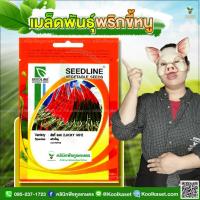 ราคา พันธุ์ผัก พริกขี้หนู ลักกี้ฮอท SL ซีดไลน์ ติดผลดก ผลสุก สีแดงสด ผลยาว น้ำหนักดี 6 ซอง คูลเกษตร KL07 (45853949877)