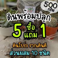 ราคา ดินผสมพร้อมปลูก มีหลายสูตร ดินปลูกแคคตัส ดินปลูกบอนสี ไม้ด่าง ไม้ฟอกอากาศ ดินปลูกไม้อวบน้ำ (40652768768)
