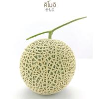 ราคา เมล็ดเมล่อน คิโมจิ 100 เมล็ด สายพันธุ์นำเข้าจากญี่ปุ่น (2278212096)