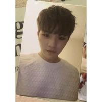ราคา [หนังสือ] Photocard WOOZI GOING SEVENTEEN WISH (5183129892)