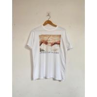 ราคา เสื้อยืด pull&bear สีขาว (22153183731)