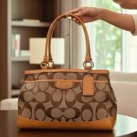 ราคา Coach Vintage แท้ มือสองสภาพใหม่ค่ะ (47656049852)