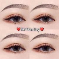 ราคา คอนแทคเลนส์ขนาดมินิ Mini vivian (kittykawaii) สี : Brown / Gray (22330114495)