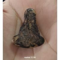 ราคา พระปิดตา หลวงปู่ยิ้ม วัดหนองบัว (57655287069)