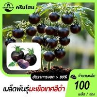 ราคา มะเขือเทศเชอรี่ สีดำ100 ชิ้น เมล็ดพันธุ์มะเขือเทศเชอรี่ สีดำ งอกง่ายโตไว☘️ลูดดกสวย แปลก (29574673582)