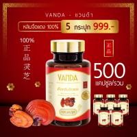 ราคา Vanda เซลล์จัดหนัก (5 กป. 999 บาท) หลินจือแดง หลินจือติดสปอร์ เห็ดหลินจือ หลินจือสกัด Vanda อาหารเสริมบำรุงร่างกาย (9186265320)