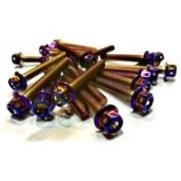 ราคา น๊อตแคร้งเครื่อง MSX MSX-SF ***ราคาพิเศษ (1696977672)