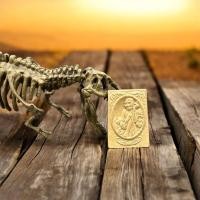 ราคา พระหลวงปู่สรวงเทวดาเดินดิน (40327181857)