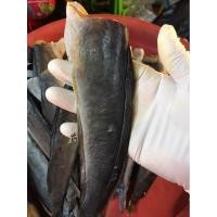 ราคา ปลาดุกร้า ปลาดุกร้าแดดเดียว ปลาดุกร้าสามรส ขนาด 500กรัมสด ใหม่วันต่อวัน ไม่ฉุ่น (56352624677)