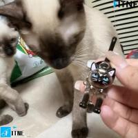 ราคา ฟิตเน่ แคปซูลเก็บขนแมว,พวงกุญแจอะคริลิคใสรูปสัตว์หนูแฮมสเตอร์ขนเก็บพวงกุญแจ,แขวนจี้น่ารักแฮนด์เมดสไตล์หนูแฮมสเตอร์เก็บผมสัตว์เลี้ (44507144195)