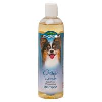 ราคา BIO-GROOM Protein Lanolin Shampoo แชมพูอาบน้ำสุนัขและแชมพูอาบน้ำแมว ขนาด 12 oz. (11861135253)